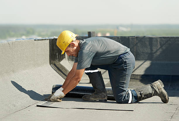 Best Attic Insulation Installation  in Wabasso Beach, FL