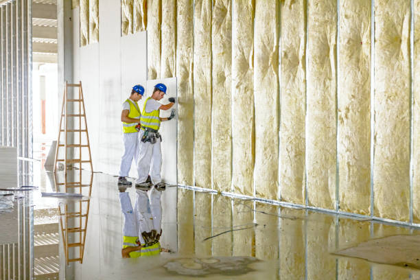 Best Radiant Barrier Insulation  in Wabasso Beach, FL